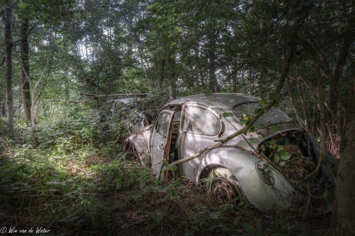 Let a Volkswagen Graveyard Filled With Beetles and Transporters Give...